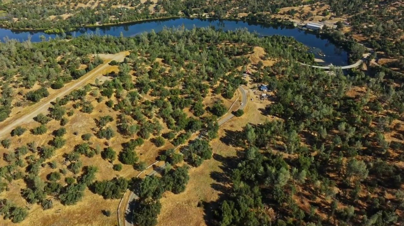 Top 10 Bass Fishing Lakes in California 2024