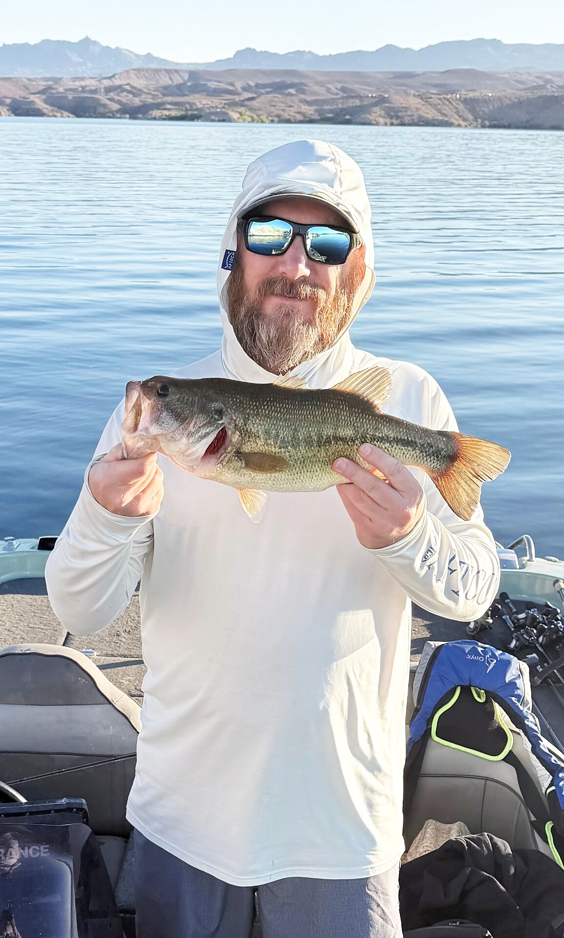 Lake largemouth