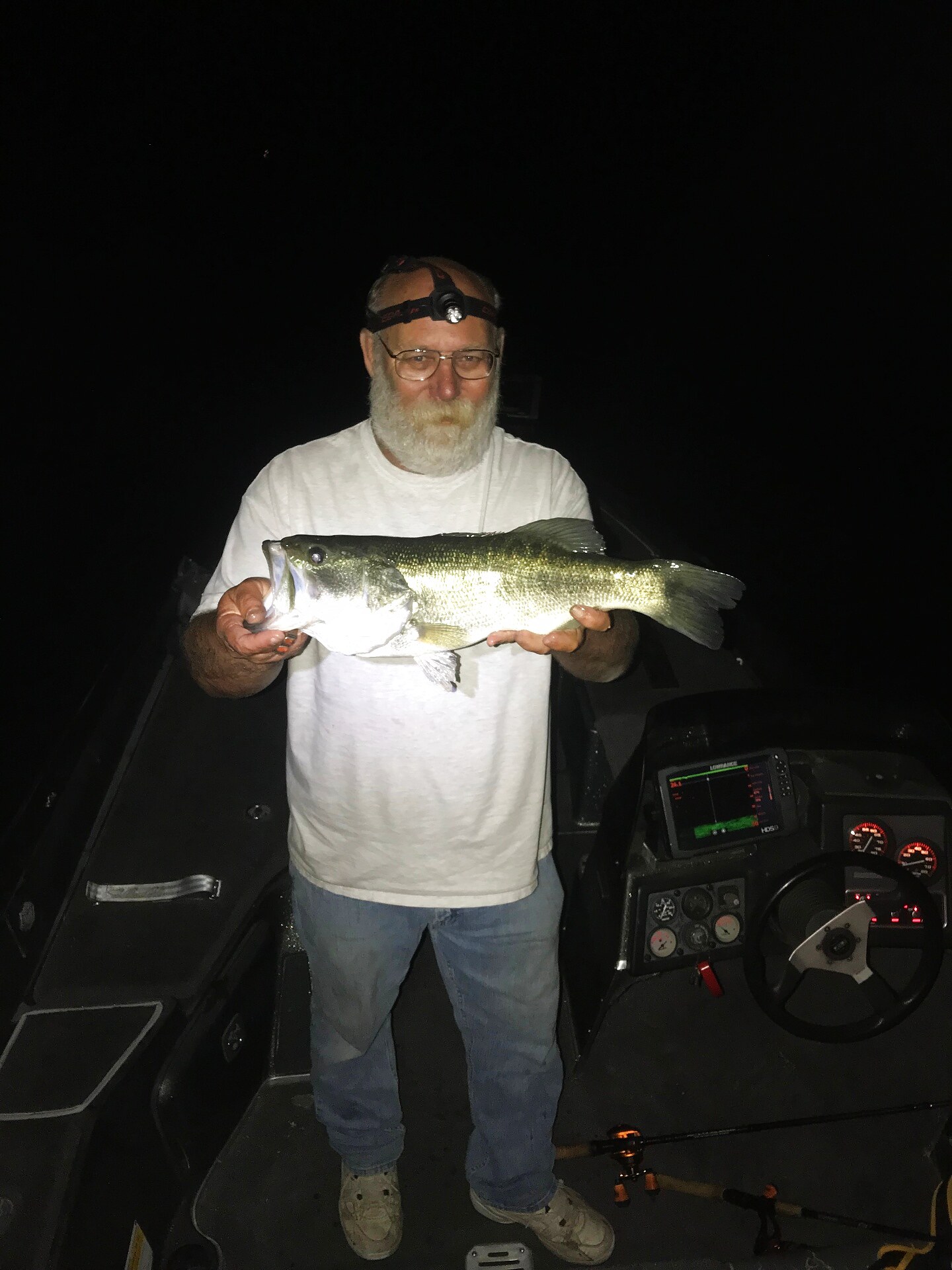 Night bite
